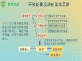新教材同步备课系列2023高中生物3.2.1生态系统的能量流动课件新人教版选择性必修2