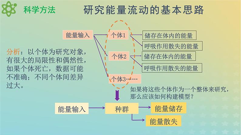 新教材同步备课系列2023高中生物3.2.1生态系统的能量流动课件新人教版选择性必修2第5页