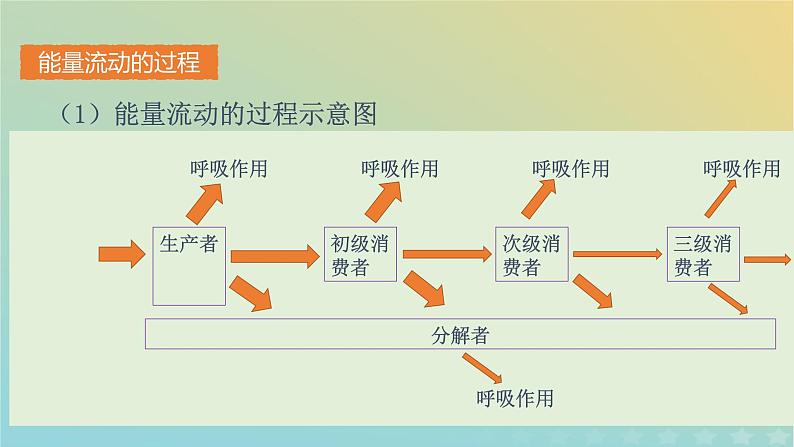 新教材同步备课系列2023高中生物3.2.1生态系统的能量流动课件新人教版选择性必修2第6页