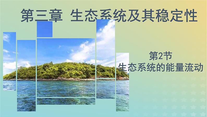 新教材同步备课系列2023高中生物3.2.2生态系统的能量流动课件新人教版选择性必修2第1页