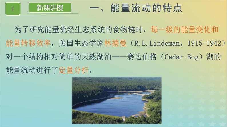 新教材同步备课系列2023高中生物3.2.2生态系统的能量流动课件新人教版选择性必修2第3页