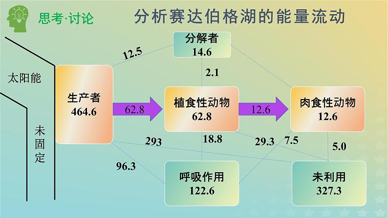 新教材同步备课系列2023高中生物3.2.2生态系统的能量流动课件新人教版选择性必修2第4页