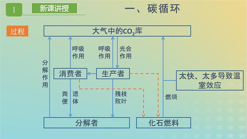 新教材同步备课系列2023高中生物3.3生态系统的物质循环课件新人教版选择性必修2第4页