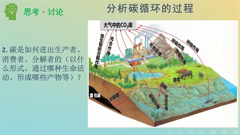 新教材同步备课系列2023高中生物3.3生态系统的物质循环课件新人教版选择性必修2第6页