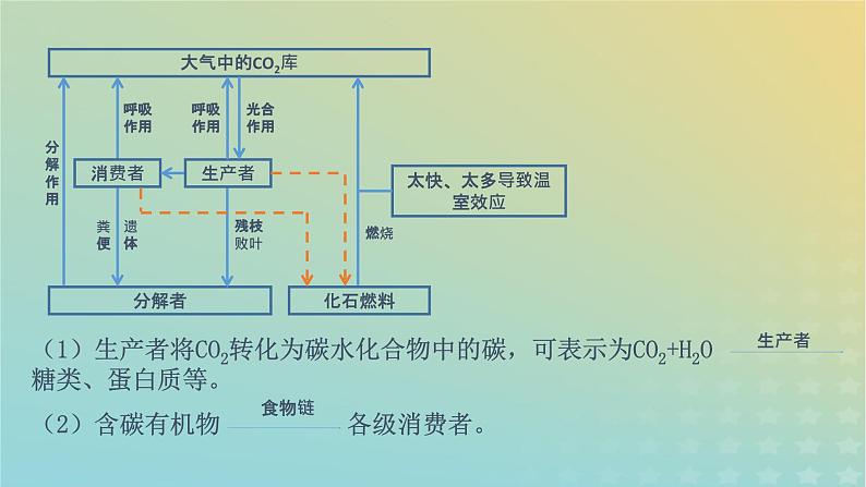 新教材同步备课系列2023高中生物3.3生态系统的物质循环课件新人教版选择性必修2第7页