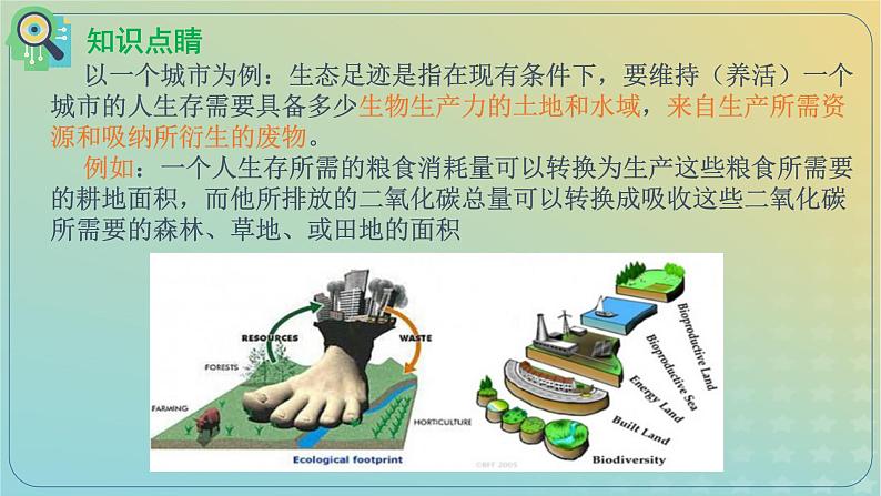 新教材同步备课系列2023高中生物4.1人类活动对生态环境的影响课件新人教版选择性必修205