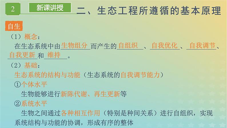 新教材同步备课系列2023高中生物4.3生态工程课件新人教版选择性必修2第7页