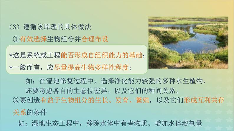 新教材同步备课系列2023高中生物4.3生态工程课件新人教版选择性必修2第8页