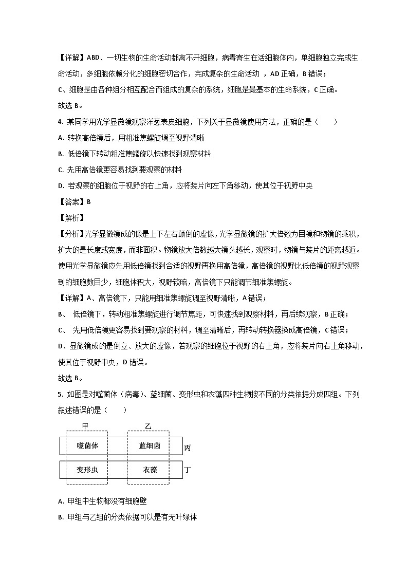 山东省德州市夏津县育中万隆中英文高级中学2023-2024学年高一生物上学期9月月考试题（Word版附解析）第3页
