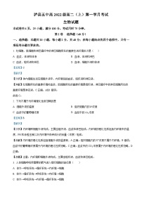 四川省泸县第五中学2023-2024学年高二生物上学期10月月考试题（Word版附解析）