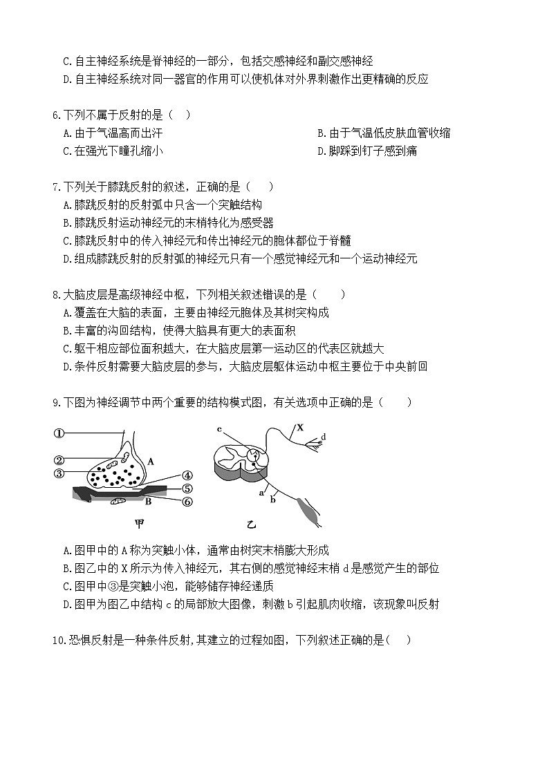 四川省宜宾市南溪第一中学2023-2024学年高二生物上学期10月月考试题（Word版附答案）第2页