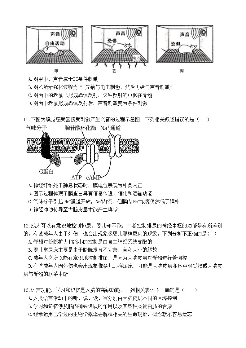 四川省宜宾市南溪第一中学2023-2024学年高二生物上学期10月月考试题（Word版附答案）第3页