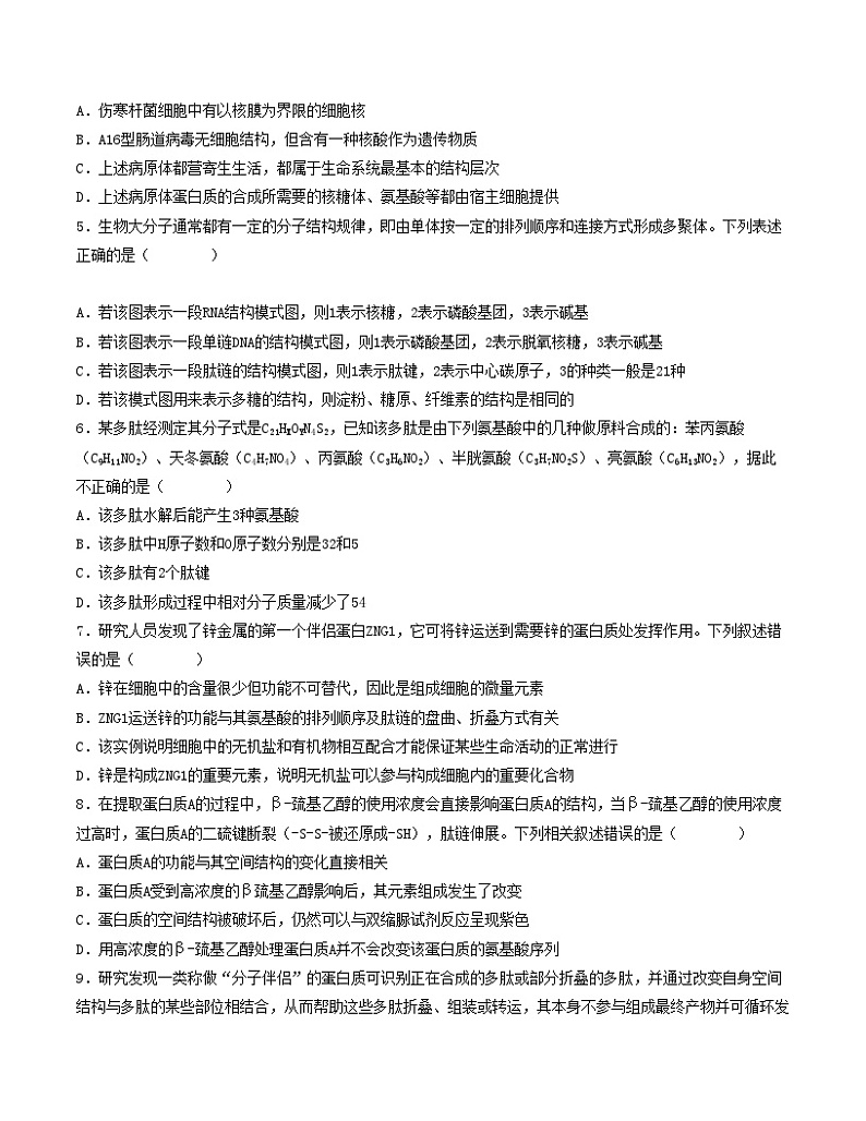 （人教版2019）2023-2024学年高一生物上学期 第一次月考B卷.zip02