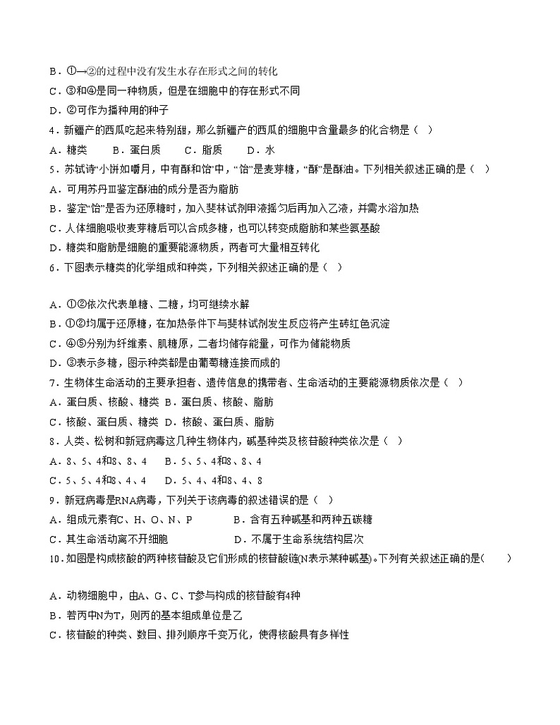 （江苏专用）2023-2024学年高一生物上学期 第一次月考A卷（学生卷）A4版第2页
