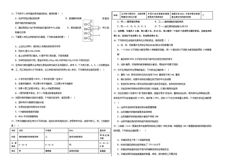 （江苏专用）2023-2024学年高一生物上学期 第一次月考B卷（学生卷）A3版第2页