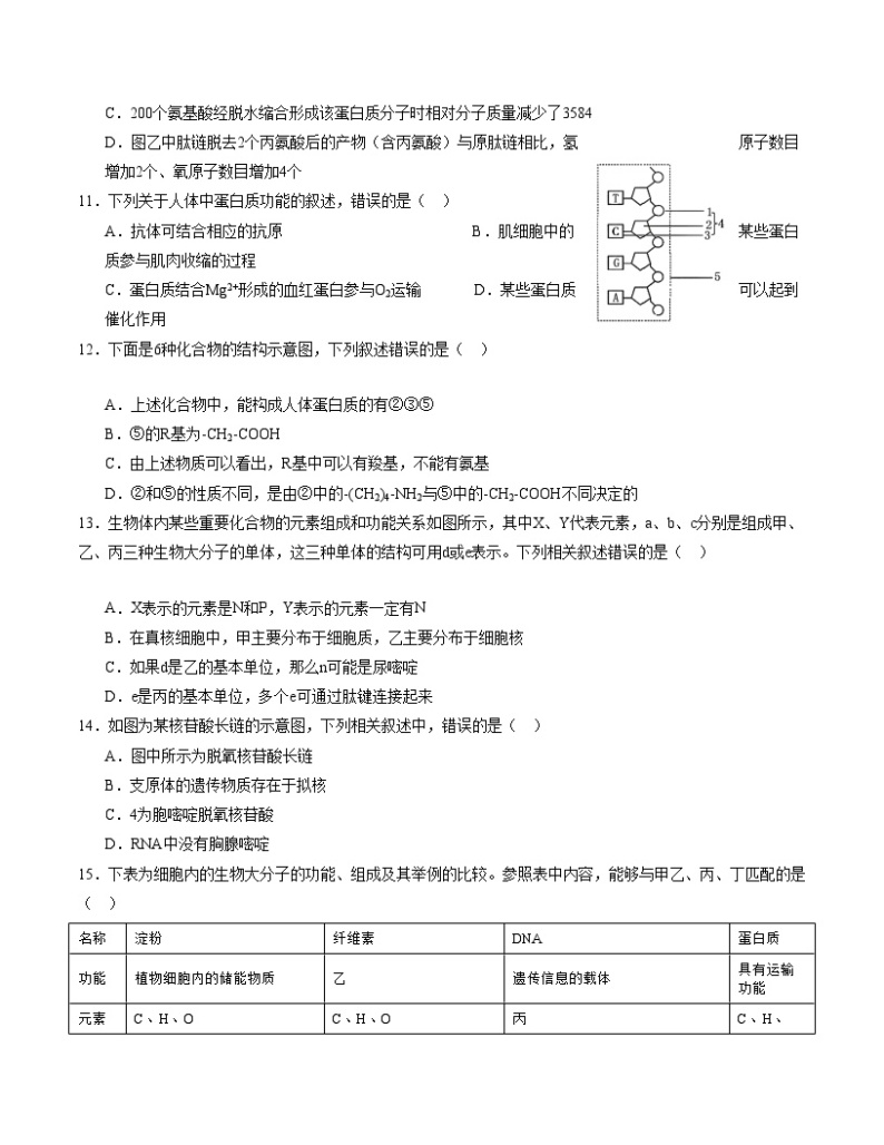 （江苏专用）2023-2024学年高一生物上学期 第一次月考B卷.zip03