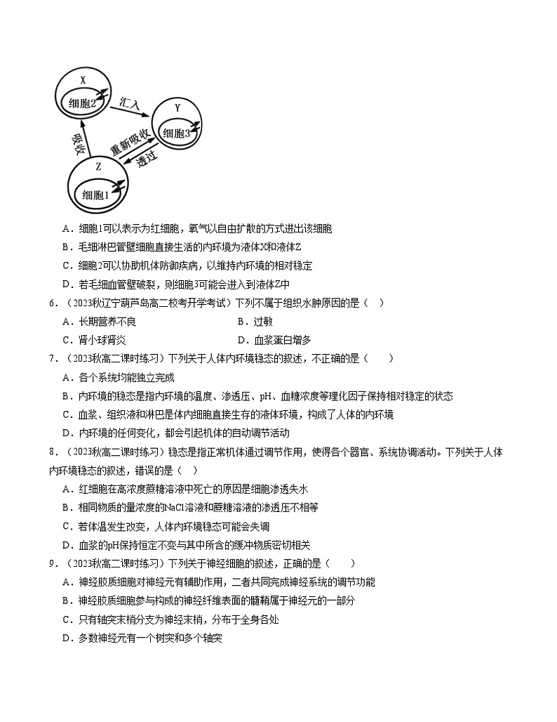 （人教版2019）2023-2024学年高二生物上学期 第一次月考A卷（学生卷）A4版第2页