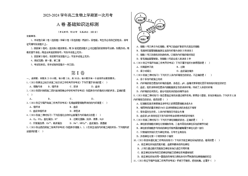 （人教版2019）2023-2024学年高二生物上学期 第一次月考A卷（学生卷）A3版第1页