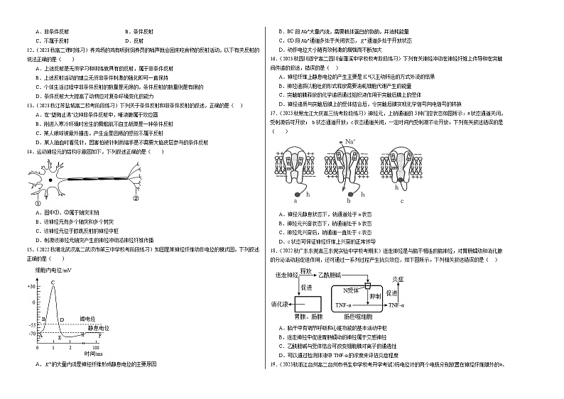 （人教版2019）2023-2024学年高二生物上学期 第一次月考A卷（学生卷）A3版第2页