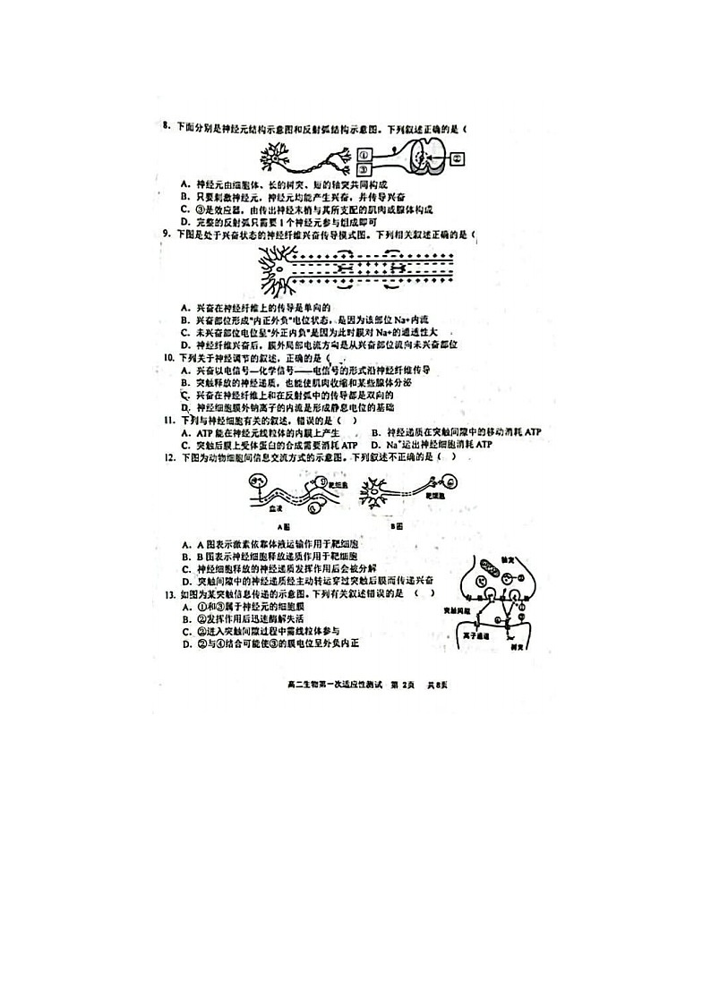 2023届天津市西青区杨柳青一中高二上学期生物第一次适应性测试题02