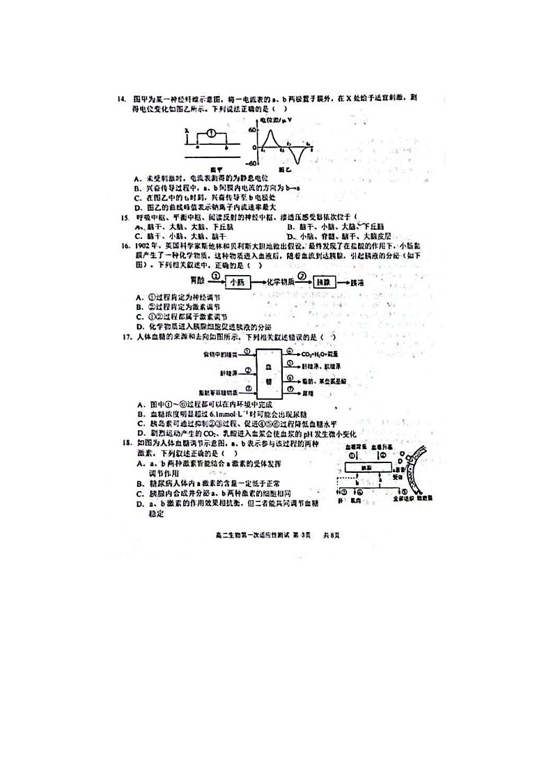 2023届天津市西青区杨柳青一中高二上学期生物第一次适应性测试题03