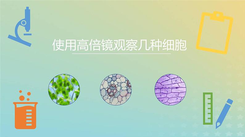 新教材2023年秋高中生物1.2.2实验使用高倍镜观察几种细胞课件新人教版必修1第1页