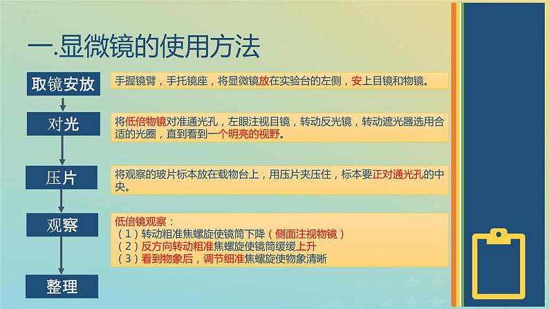 新教材2023年秋高中生物1.2.2实验使用高倍镜观察几种细胞课件新人教版必修1第3页