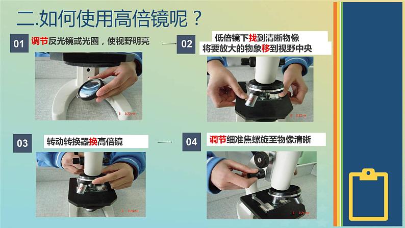 新教材2023年秋高中生物1.2.2实验使用高倍镜观察几种细胞课件新人教版必修1第4页