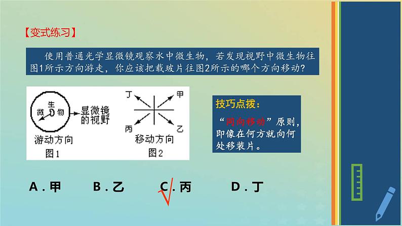 新教材2023年秋高中生物1.2.2实验使用高倍镜观察几种细胞课件新人教版必修1第8页