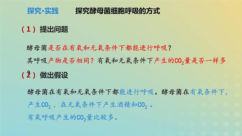 新教材2023年秋高中生物5.3细胞呼吸课件新人教版必修1第5页