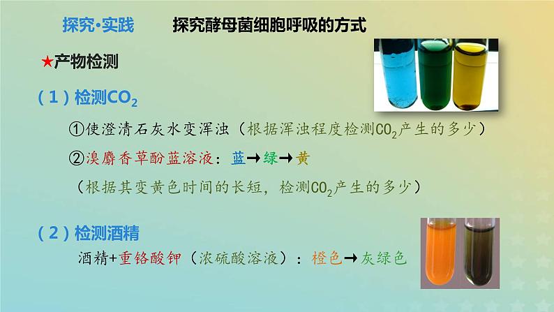 新教材2023年秋高中生物5.3细胞呼吸课件新人教版必修1第7页