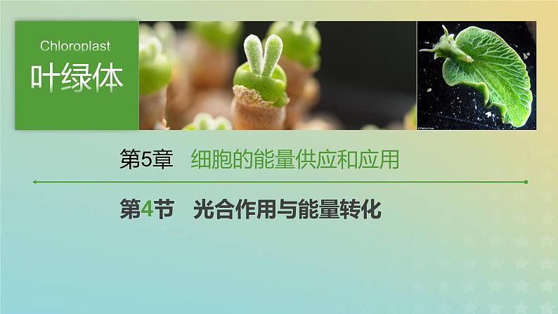 新教材2023年秋高中生物5.4光合作用与能量转化课件新人教版必修1第1页