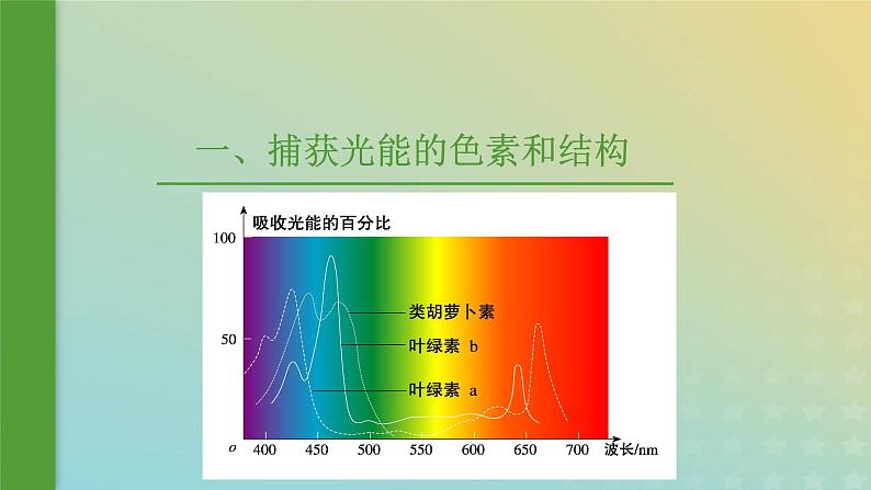 新教材2023年秋高中生物5.4光合作用与能量转化课件新人教版必修1第5页