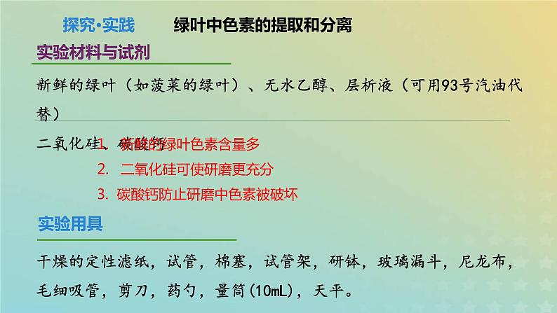 新教材2023年秋高中生物5.4光合作用与能量转化课件新人教版必修1第7页