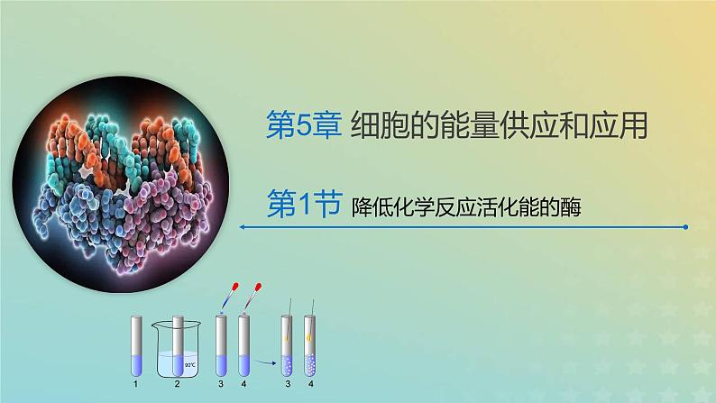 新教材2023年秋高中生物5.1降低化学反应活化能的酶课件新人教版必修101