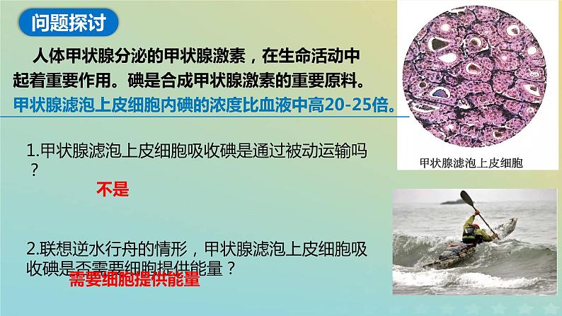 新教材2023年秋高中生物4.2主动运输与胞吞胞吐课件新人教版必修1第2页