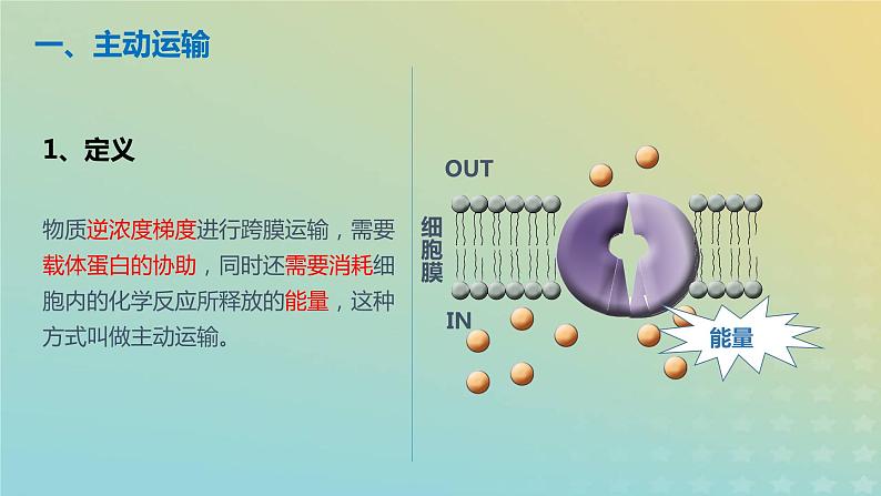 新教材2023年秋高中生物4.2主动运输与胞吞胞吐课件新人教版必修1第5页