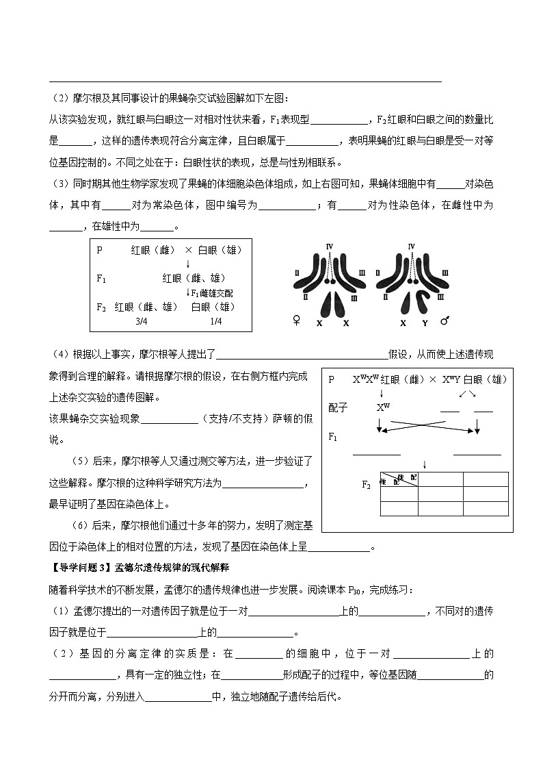 2.2基因在染色体上第1课时导学案 高中生物人教版必修2第2页