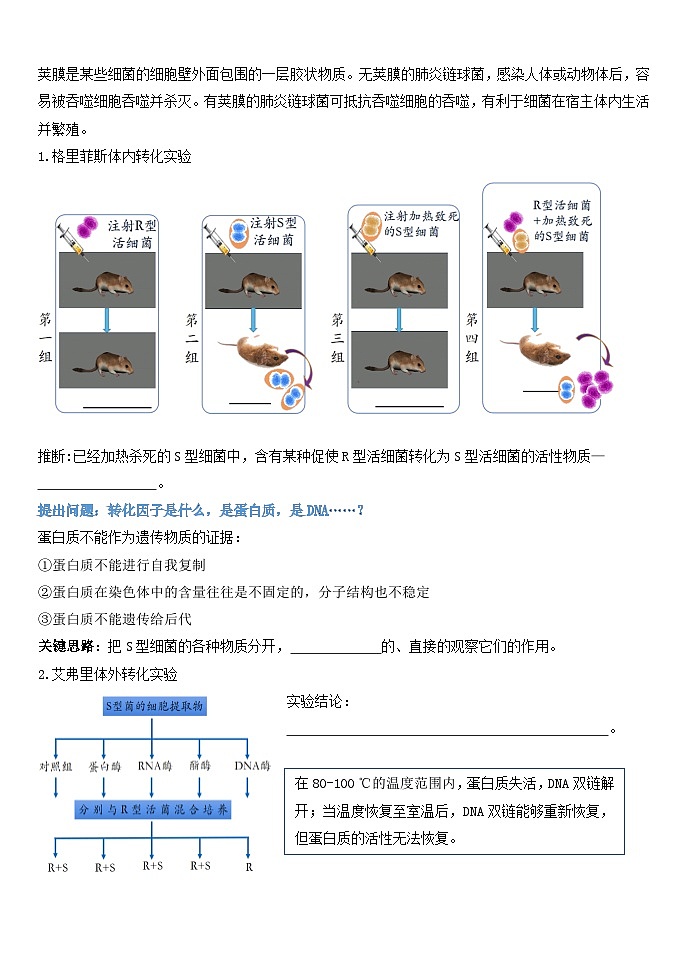 3.1DNA是主要的遗传物质导学案 高中生物人教版必修202