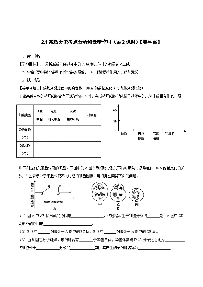 2.1减数分裂和受精作用第2课时导学案 高中生物人教版必修201