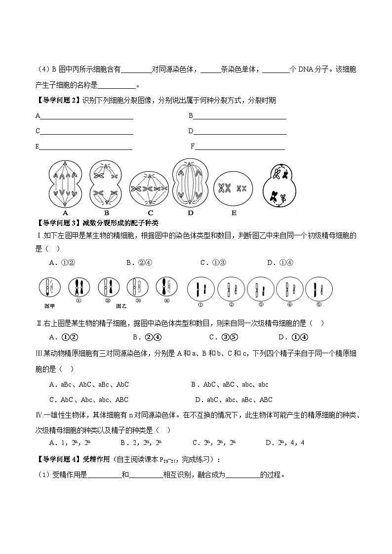 2.1减数分裂和受精作用第2课时导学案 高中生物人教版必修202