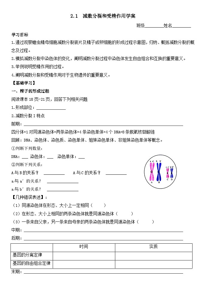 2.1减数分裂和受精作用导学案 高中生物人教版必修2第1页