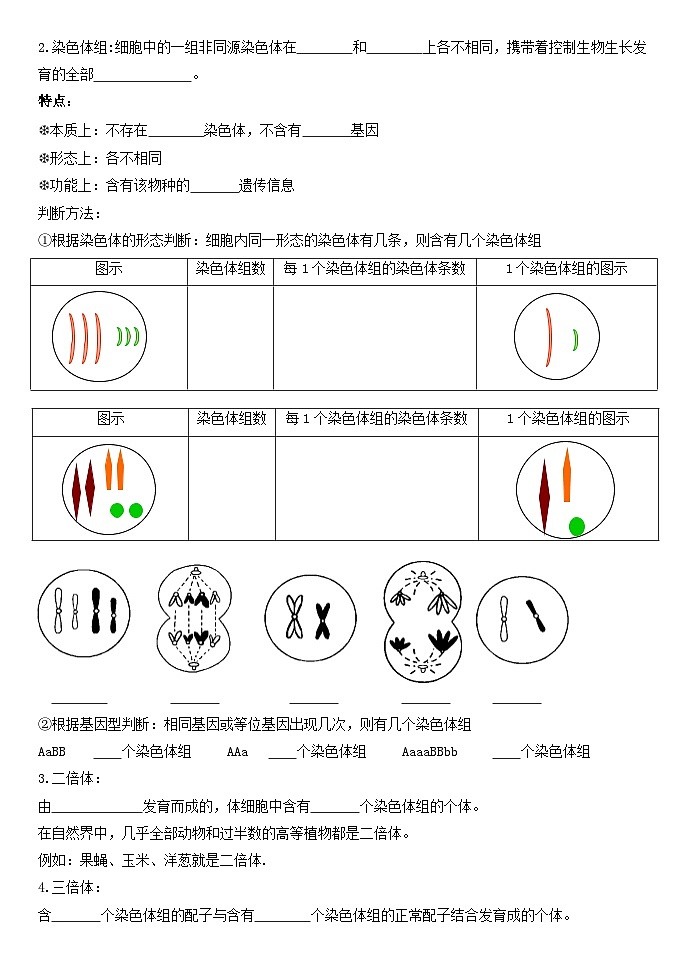 5.2染色体变异导学案 高中生物人教版必修202
