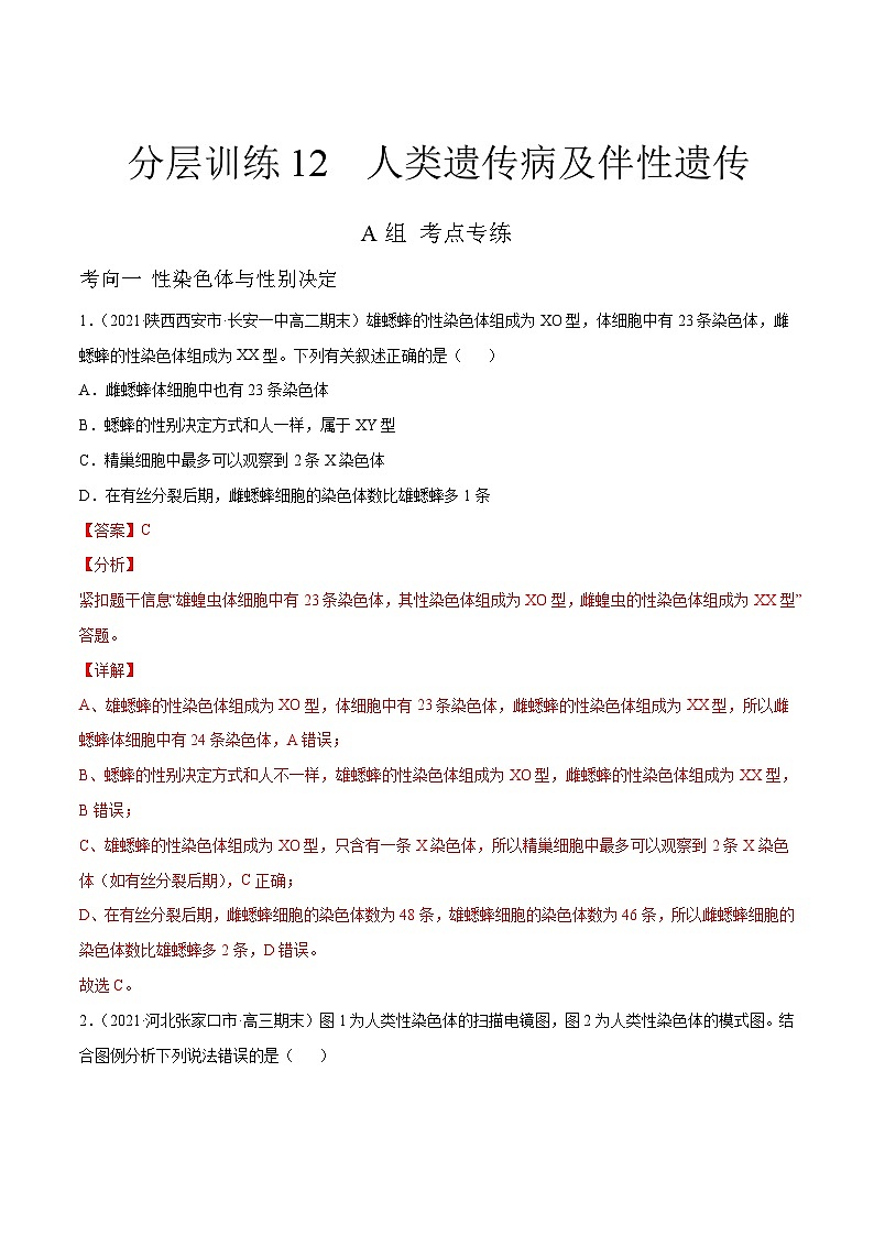 新高考生物二轮复习分层训练12 人类遗传病及伴性遗传（解析版）第1页