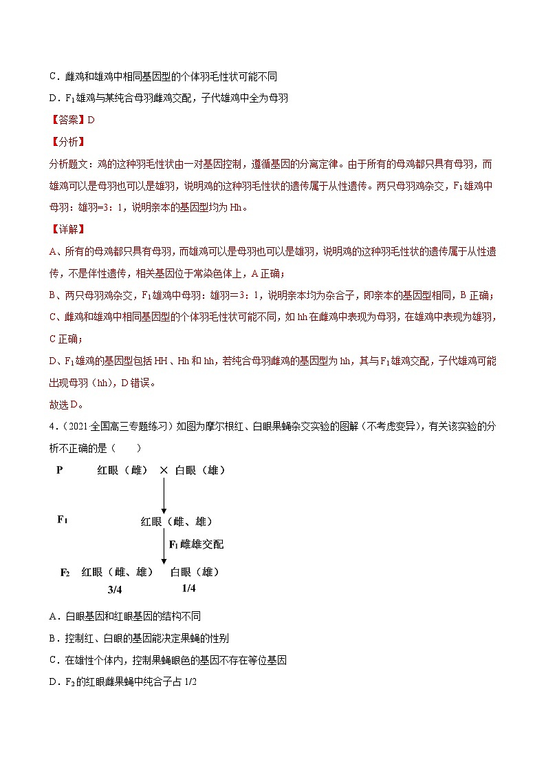 新高考生物二轮复习分层训练12 人类遗传病及伴性遗传（解析版）第3页