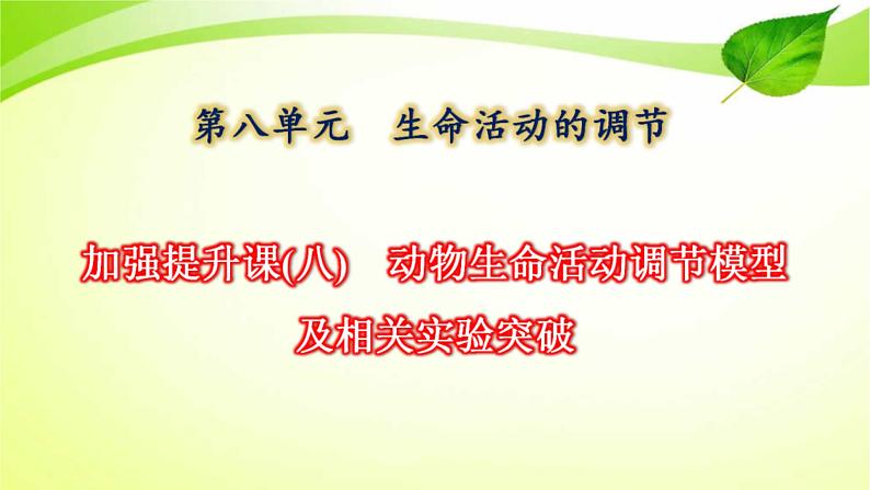 新高考生物二轮复习：加强提升课件(八)　动物生命活动调节模型及相关实验突破（含解析）01