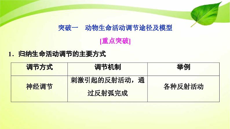 新高考生物二轮复习：加强提升课件(八)　动物生命活动调节模型及相关实验突破（含解析）02