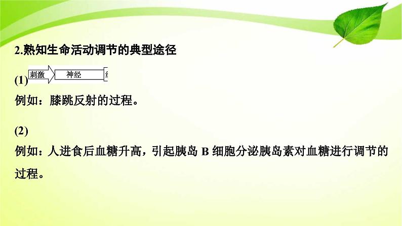 新高考生物二轮复习：加强提升课件(八)　动物生命活动调节模型及相关实验突破（含解析）04