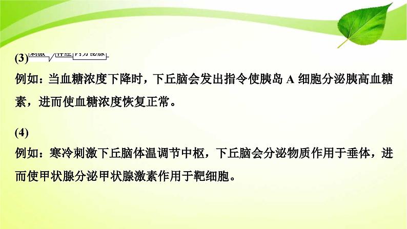 新高考生物二轮复习：加强提升课件(八)　动物生命活动调节模型及相关实验突破（含解析）05