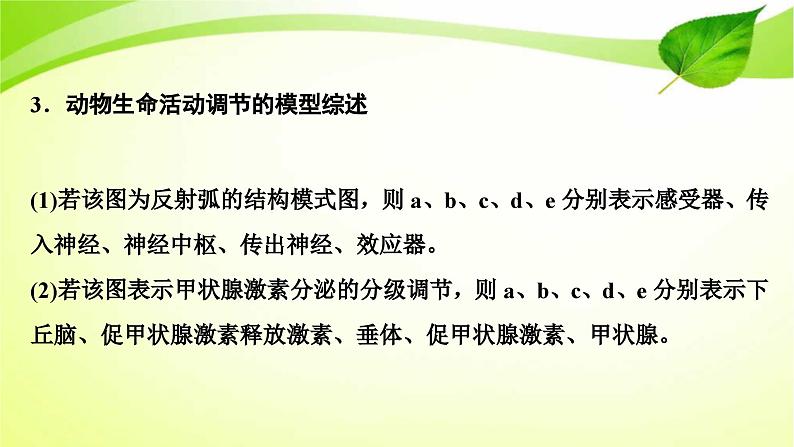 新高考生物二轮复习：加强提升课件(八)　动物生命活动调节模型及相关实验突破（含解析）06